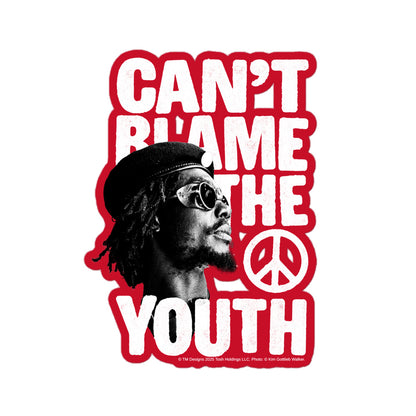 Can't Blame the Youth Sticker