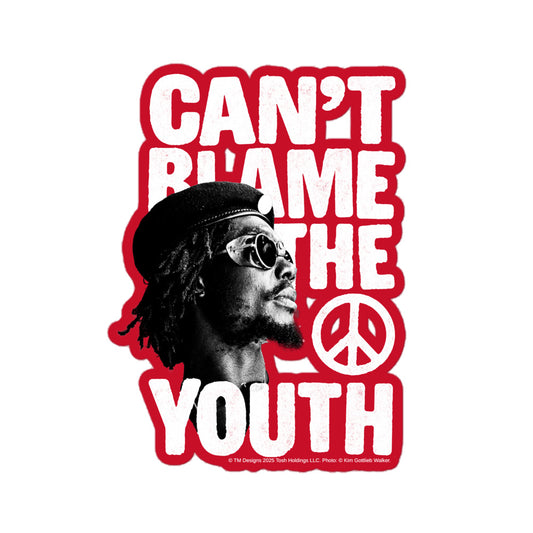 Can't Blame the Youth Sticker